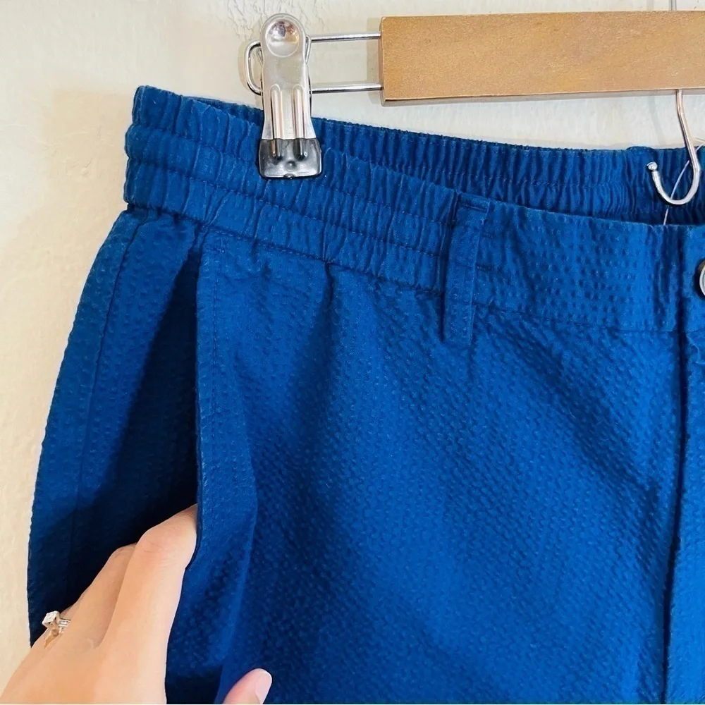 Banana Republic Athletic Fit Hi-Rise Seersucker Pants Men Size 34 Blue Pockets